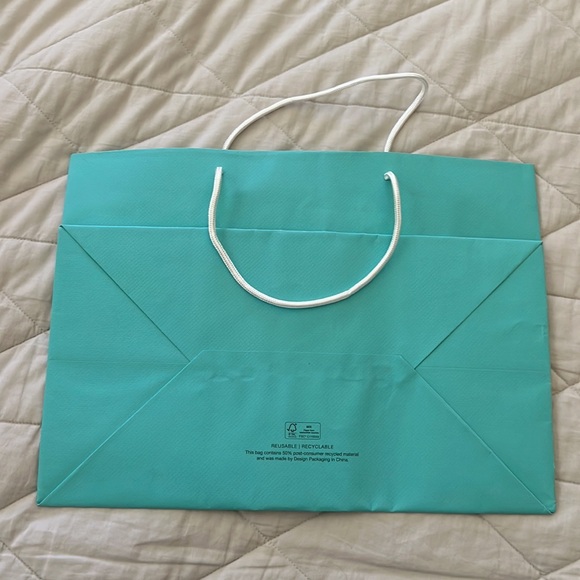 Tiffany & Company Shopping Gift Bag tote - Picture 5 of 16